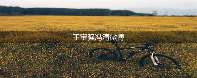 王宝强方否认与冯清结婚，马蓉仍置顶微博：王宝强说他还爱我(王宝强冯清微博)