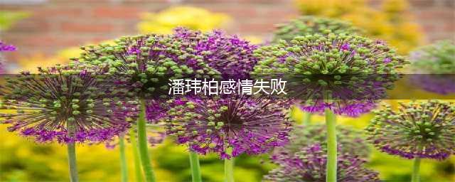 潘玮柏承认感情失败 潘玮柏自曝三段感情经历 潘玮柏感情史大揭秘(潘玮柏感情失败)