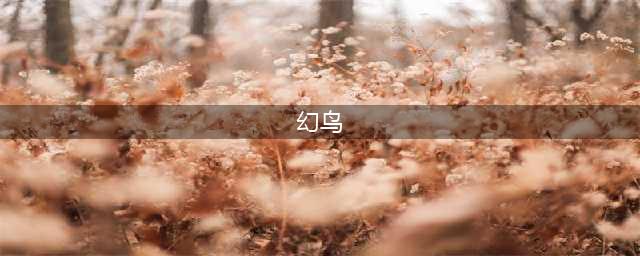 怪物猎人世界怎么抓幻鸟？ 怪物猎人世界快速抓幻鸟方法(幻鸟)