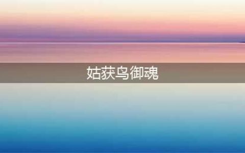 《阴阳师》姑获鸟带什么御魂 姑获鸟御魂搭配推荐(姑获鸟御魂)