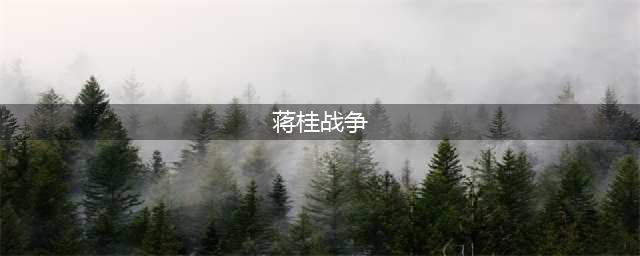 民国往事：蒋桂战争(蒋桂战争)