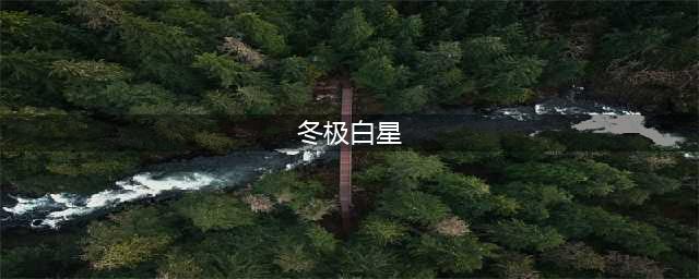原神冬极白星90级属性