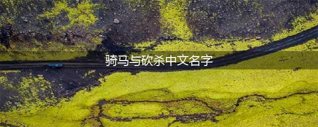 骑马与砍杀2怎么打中文名字 打中文名字方法分享