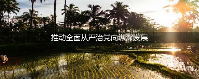 坚持不懈把全面从严治党向纵深推进(推动全面从严治党向纵深发展)