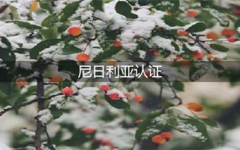 尼日利亚产品认证(尼日利亚认证)
