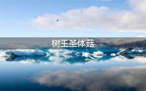 《原神》树王圣体菇位置大全