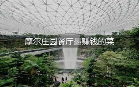 《摩尔庄园手游》餐厅最赚钱菜谱一览 什么菜谱赚钱