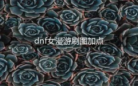 《dnf》女漫游枪手110级刷图加点推荐
