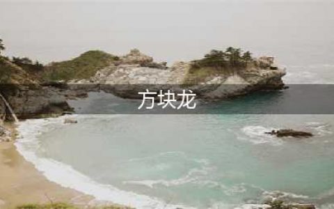 方块龙的好玩吗 方块龙的玩法简介