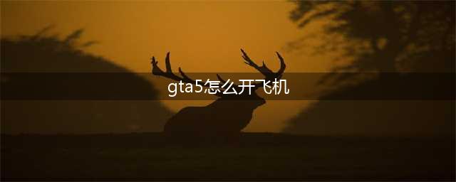 GTA5客机怎么开 侠盗猎车手5客机进入及操作方法(gta5怎么开飞机)