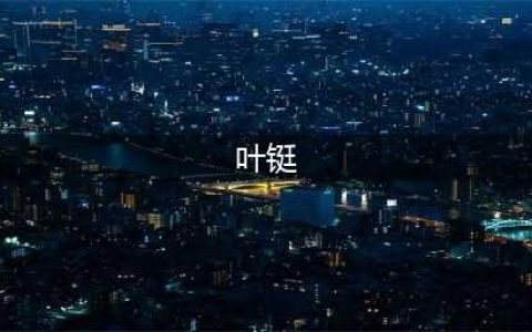 八一南昌起义中的消防员(叶铤)