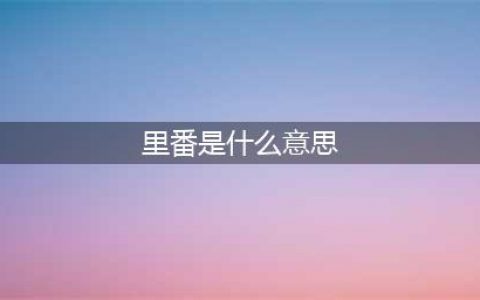 “里番”是什么意思？二次元专用词汇你知道多少？(里番是什么意思)