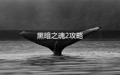 黑暗之魂2攻略　黑暗之魂2所有地图难点通关技巧攻略(黑暗之魂2攻略)