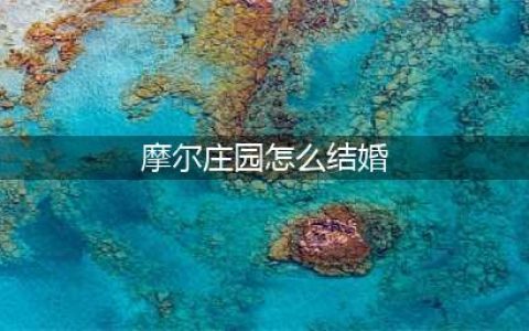 摩尔庄园手游怎么办婚礼 摩尔庄园手游可以结婚吗(摩尔庄园怎么结婚)