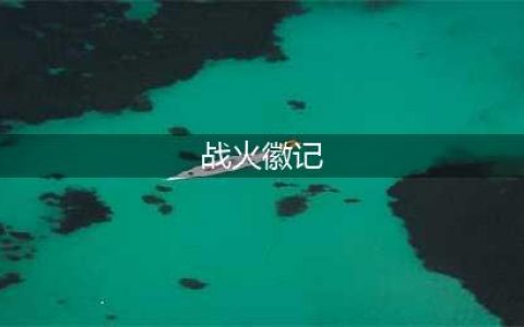 《WOW》战火徽记在哪换 战火徽记作用分享(战火徽记)