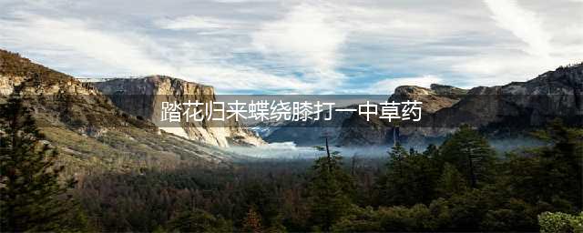 食物语踏花回来蝶绕膝答案是什么 踏花归来蝶绕膝谜底分享