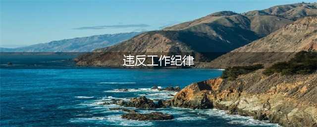 哪些情况被认定为是违反工作纪律？(违反工作纪律)