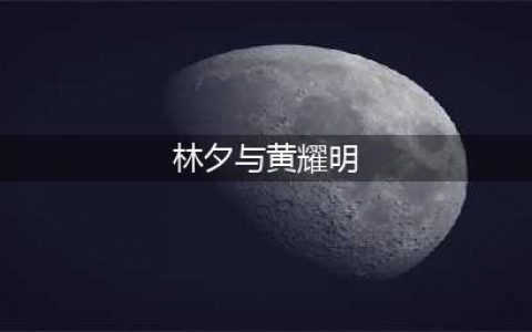歌迷都以为林夕用这首歌对黄耀明表白，林夕：我没你们想的那么好(林夕与黄耀明)
