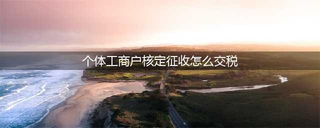 核定征收的个体工商户如何纳税申报？(个体工商户核定征收怎么交税)