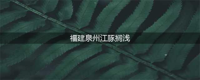 福建泉州江豚搁浅 眼角流泪疑似暴露在空气中太久(福建泉州江豚搁浅)