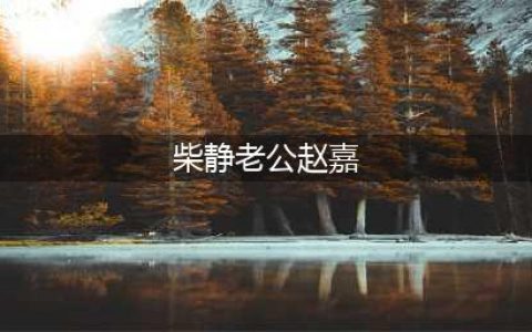 柴静老公赵嘉家庭背景曝光(柴静老公赵嘉)