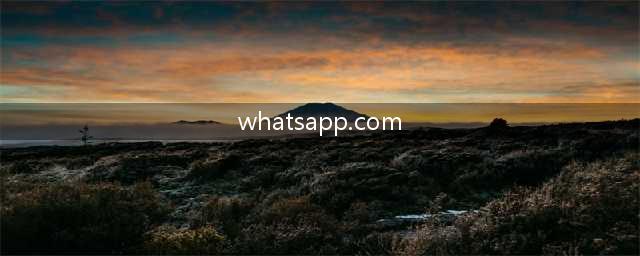 WhatsApp网页版登陆方法及注意事项，快速上手使用(whatsapp.com)