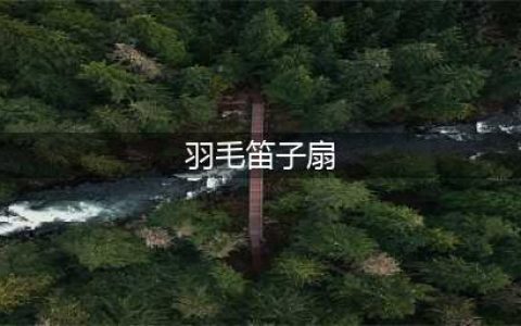 阴阳师羽毛笛子扇是什么 阴阳师大天狗哪里多(羽毛笛子扇)
