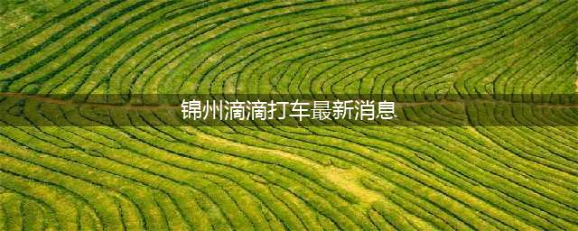 锦州为什么没有共享单车和私人滴滴打车，一个普通锦州市民的看法(锦州滴滴打车最新消息)