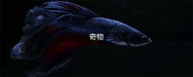 《誓灵》奇物怎么选 奇物属性效果详解(奇物)