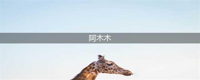 《英雄联盟手游》阿木木技能是什么 阿木木技能介绍