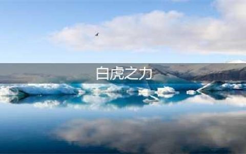 白虎之力是地位最高称号 DNF中土豪称号TOP7(白虎之力)