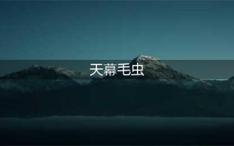 天幕毛虫形态特征、危害特点及防治方法(天幕毛虫)