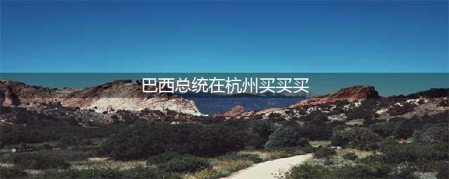 巴西总统在杭州买买买 试穿皮鞋当即买下(图)(巴西总统在杭州买买买)