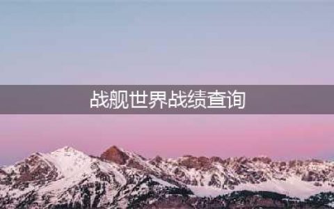 《战舰世界闪击战》战绩怎么查看 战绩查询方法是什么(战舰世界战绩查询)