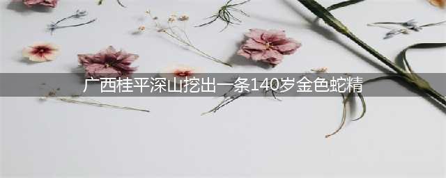 村民挖出140岁蛇精全过程曝光 全身金色吓死司机(广西桂平深山挖出一条140岁金色蛇精)