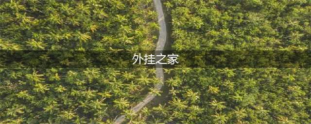深度！起底全国最大聚合外挂平台的发展与覆灭(外挂之家)