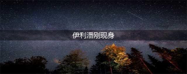 伊利潘刚国内现身(伊利潘刚现身)