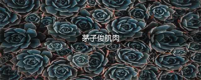 健硕！钟情佟丽娅景甜无终的茅子俊腹肌竟如此标志(茅子俊肌肉)