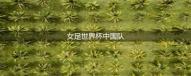 剑指世界杯！女足世界杯中国队名单公布(女足世界杯中国队)