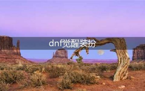 《DNF》二觉时装加多少属性 2019国庆二觉时装加成属性一览(dnf觉醒装扮)