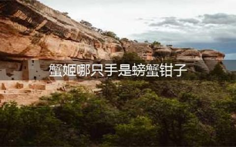 《阴阳师》蟹姬的哪只手是蟹钳 蟹姬的蟹钳答案分享(蟹姬哪只手是螃蟹钳子)