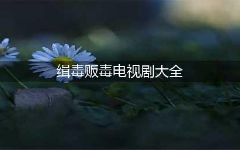 值得关看的几部缉毒电视剧题材-精彩不容错过！(缉毒贩毒电视剧大全)