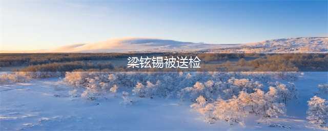 梁铉锡被送检怎么回事 梁铉锡被送检什么原因(梁铉锡被送检)