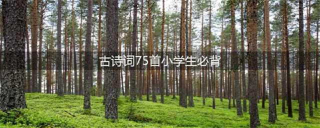 小学必背古诗75首全文 可打印（带注释及译文）(古诗词75首小学生必背)