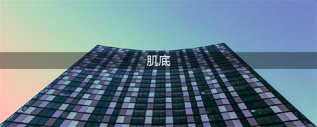 当我们说修护肌底时，我们究竟在说什么？(肌底)