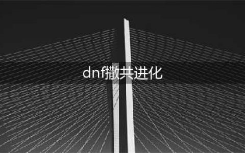 《DNF》平民如何打造3500智力奶妈(dnf撒共进化)