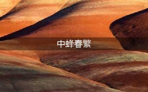 中蜂春繁详解(中蜂春繁)