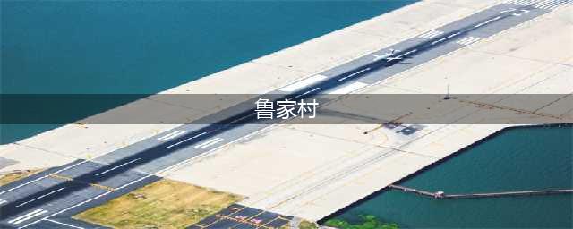 国家级“乡村振兴”标杆：鲁家村(鲁家村)