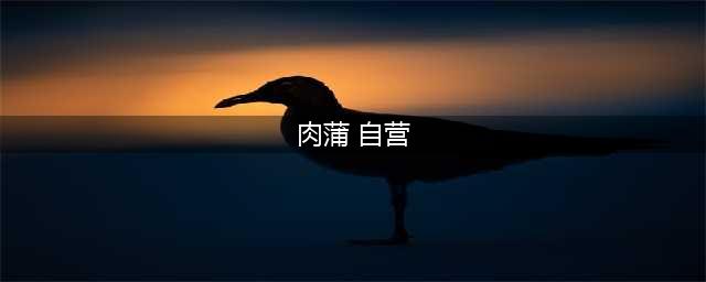 肉蒲团从国内封禁到日本成为经典(肉蒲 自营)