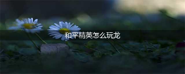 和平精英怎么玩龙